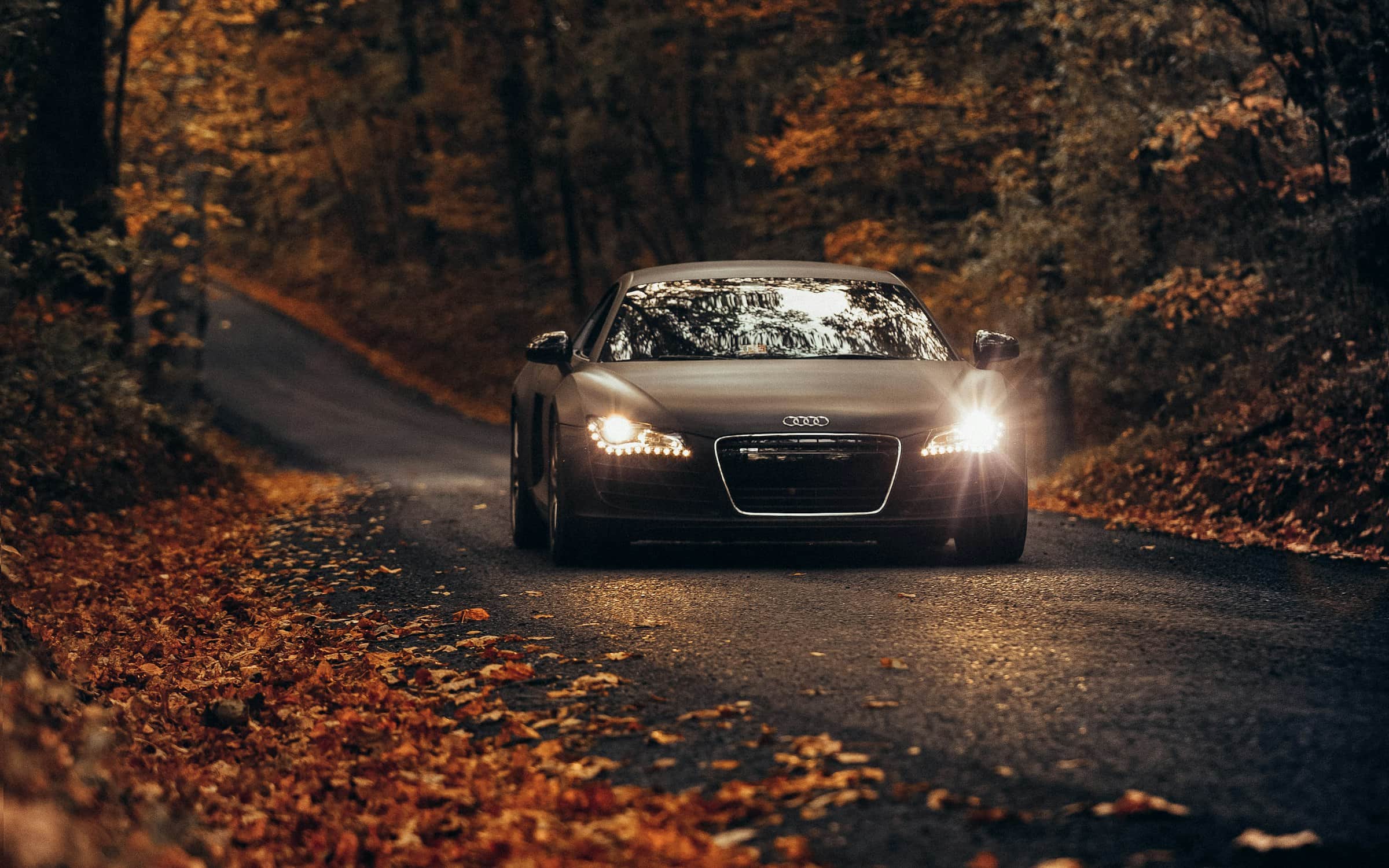 A sports car with headlights on, moving down a tree-lined autumn road at dusk